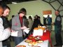 Fil� em Arroio Canoas