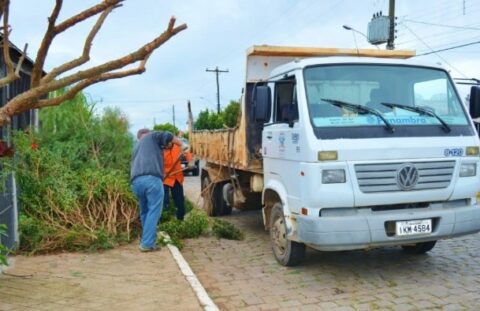 Coleta de galhos de árvores e móveis velhos deve ser agendada