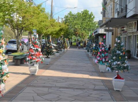 Festival de Pinheirinhos no calçadão de Carlos Barbosa