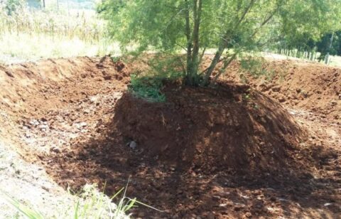 Auxílio municipal para açudes em Salvador do Sul reduz efeitos da estiagem.