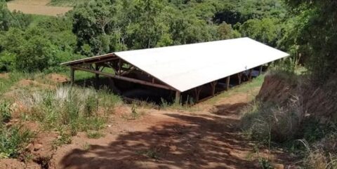 Solicitadas melhorias em pocilgas e estufas de morangos durante visitas rurais